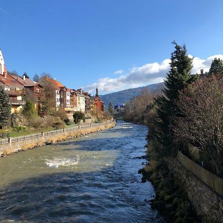 Witrich Apartman Διαμέρισμα Murau Εξωτερικό φωτογραφία