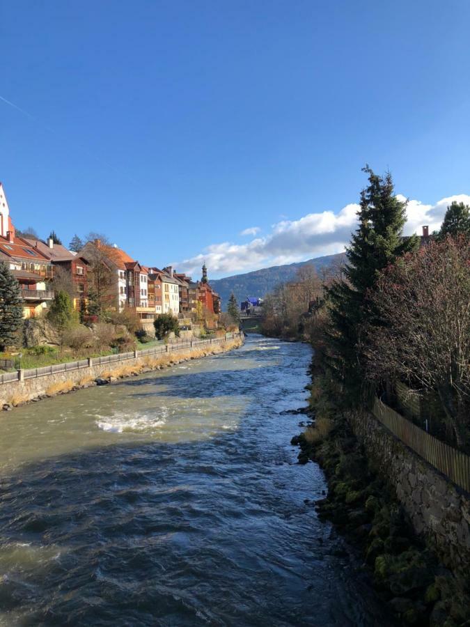 Witrich Apartman Διαμέρισμα Murau Εξωτερικό φωτογραφία